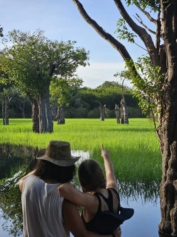 Exploring Brazil’s Jungle – Featured Image Couple exploring a lush green jungle in Brazil, pointing at trees over a wetland. (Includes natural use of keywords: couple, Brazil, jungle)